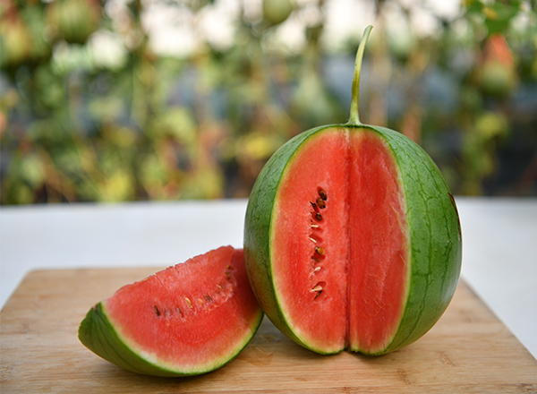 <strong>“中国尊龙官方网站科技精品西瓜：西瓜对孕妇的益处</strong>